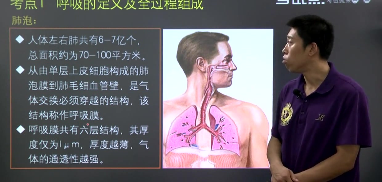 [图]2024年 考研专业课《346 体育综合 运动生理学部分》考点精讲01 00_01_00-