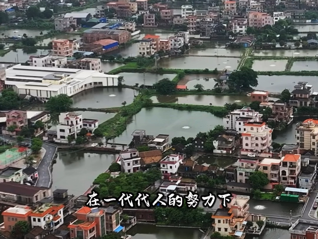 这里是顺德的桑基鱼塘,历史上曾是一片滩涂地,人烟稀少,到处都是水域,为求生存人们向海取地,修筑堤围,在一代代人的努力下,沧海变桑田,就有了...