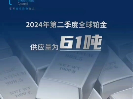 WPIC 2024年第二季度《铂金季刊》关键数据展示—铂金投资的未来已来!哔哩哔哩bilibili