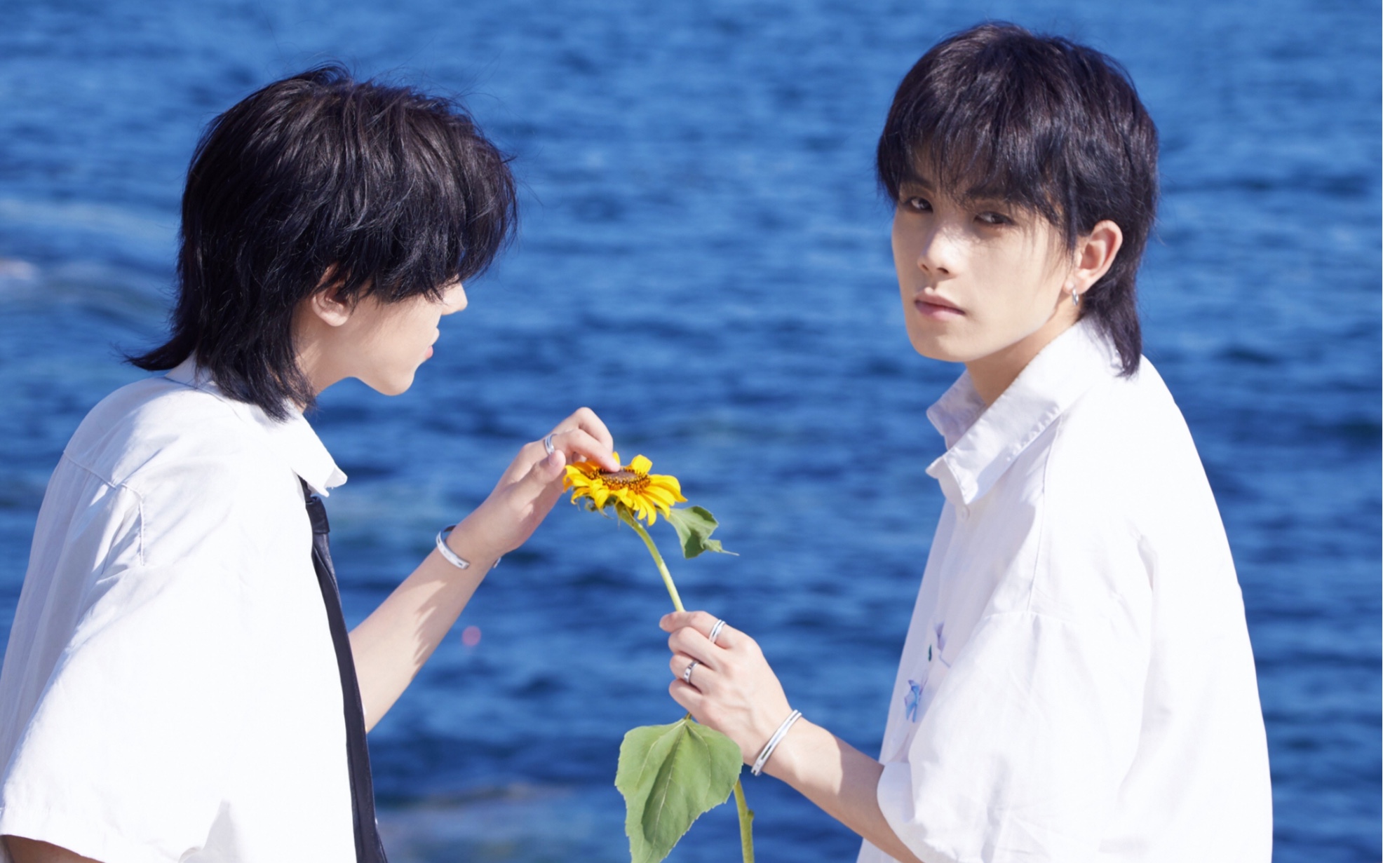 4#李鱼向洋#周年直播录屏*.(2911661129)*. (叁)