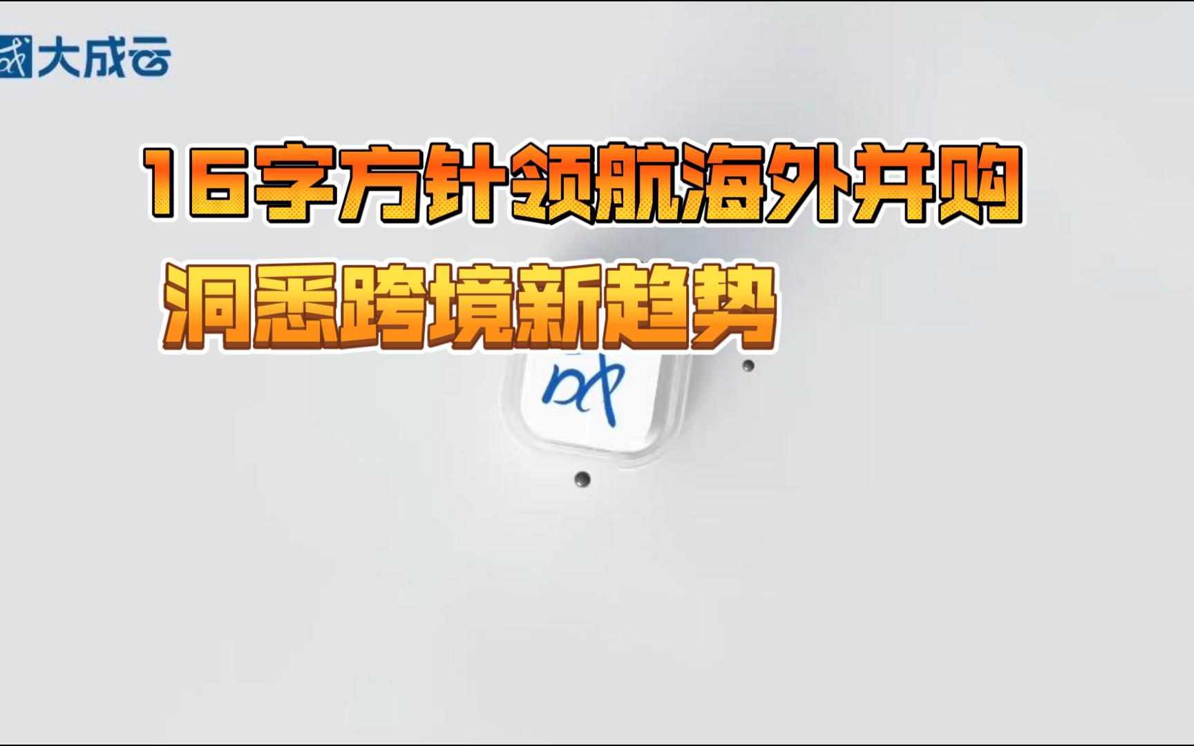 16字方针领航海外并购,洞悉跨境新趋势哔哩哔哩bilibili