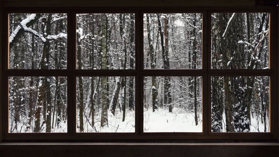 窗景林中小屋雪季学习助眠白噪音氛围营造投影适用
