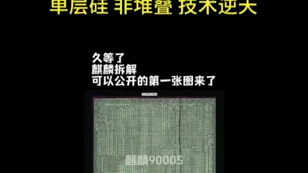 麒麟9000s芯片x光照片爆出,单层硅,性能逆天,秒杀高通哔哩哔哩bilibili