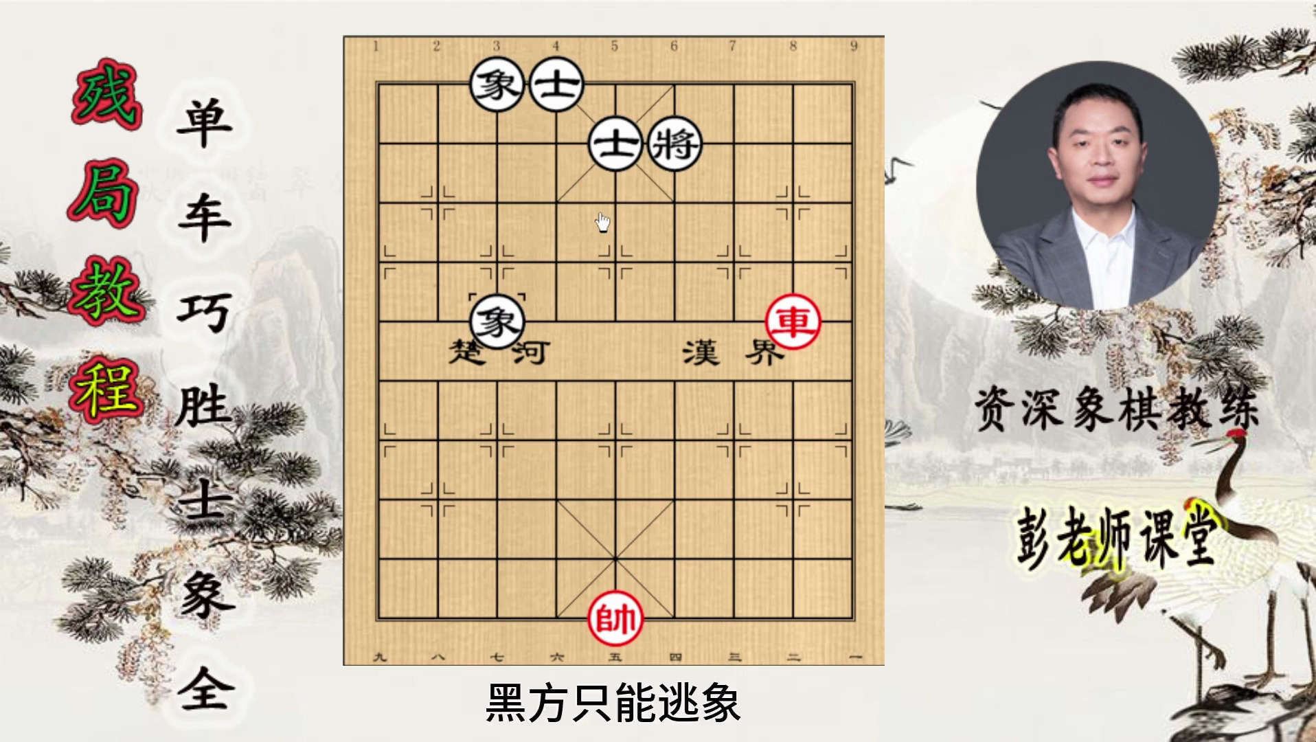 象棋拌象腿图片