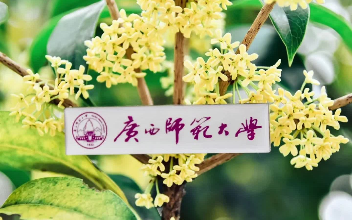 【广西师范大学】邀你云游雁山校区啦!!!哔哩哔哩bilibili