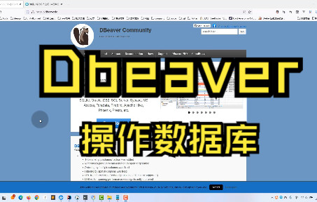 dbeaver使用教程,操作数据库哔哩哔哩bilibili