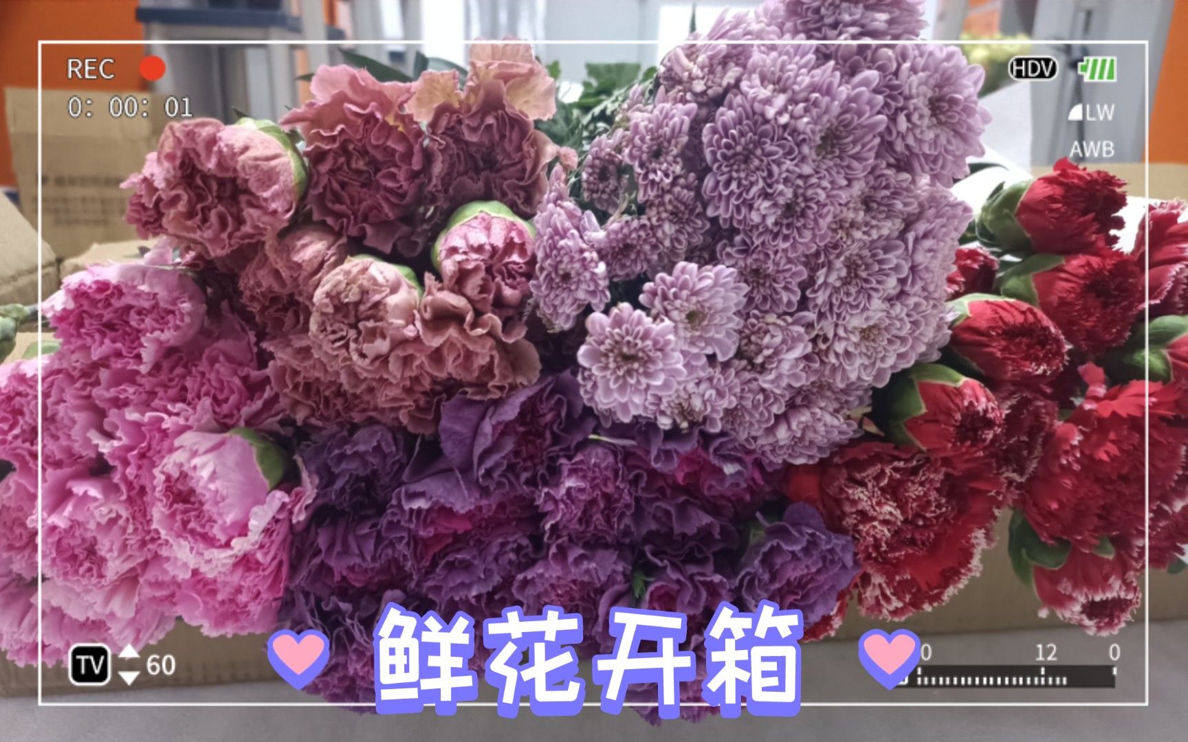 鲜花开箱:阿龙专场(码在片尾)哔哩哔哩bilibili