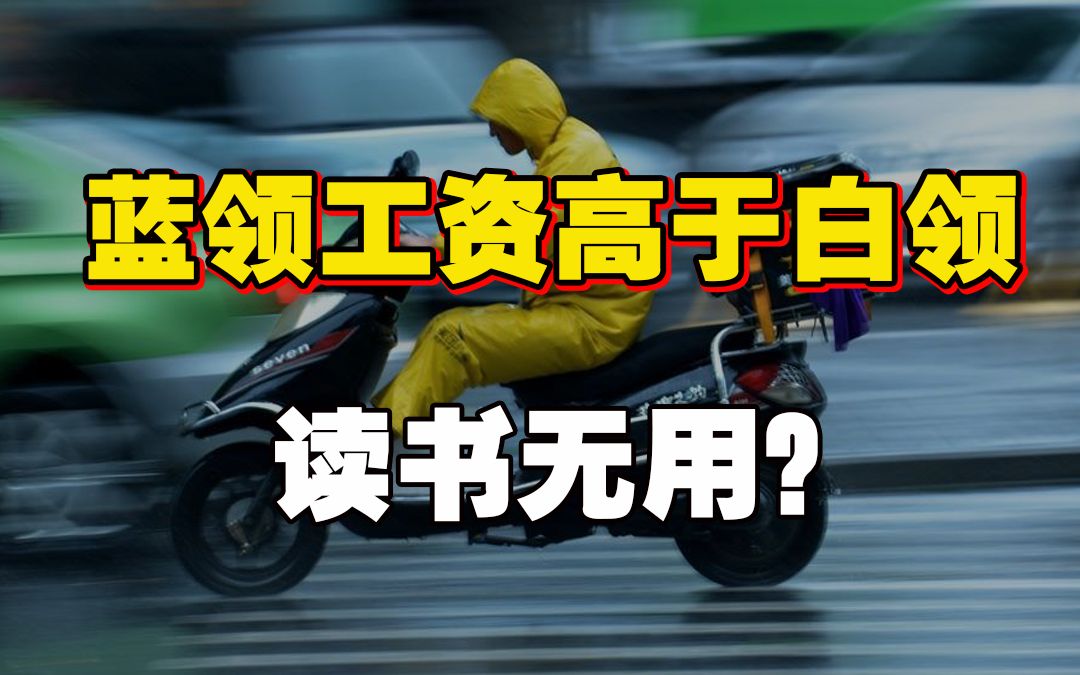 【韩秀云】新型蓝领上线,为何靠体力比靠脑力更赚钱?哔哩哔哩bilibili