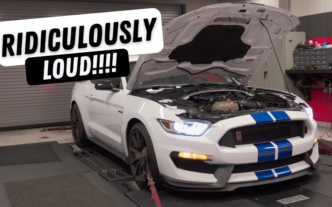 2018款 谢尔比gt350