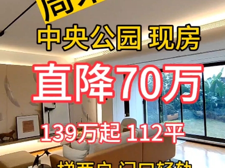 月底抄底 直降70万洋房 112平 139万起 1梯2户 门口轻轨 板式洋房 中央公园龙湖天街门口 交通方便 洋房 免费领取内部资料 #重庆房产 #同城房产哔哩哔哩...