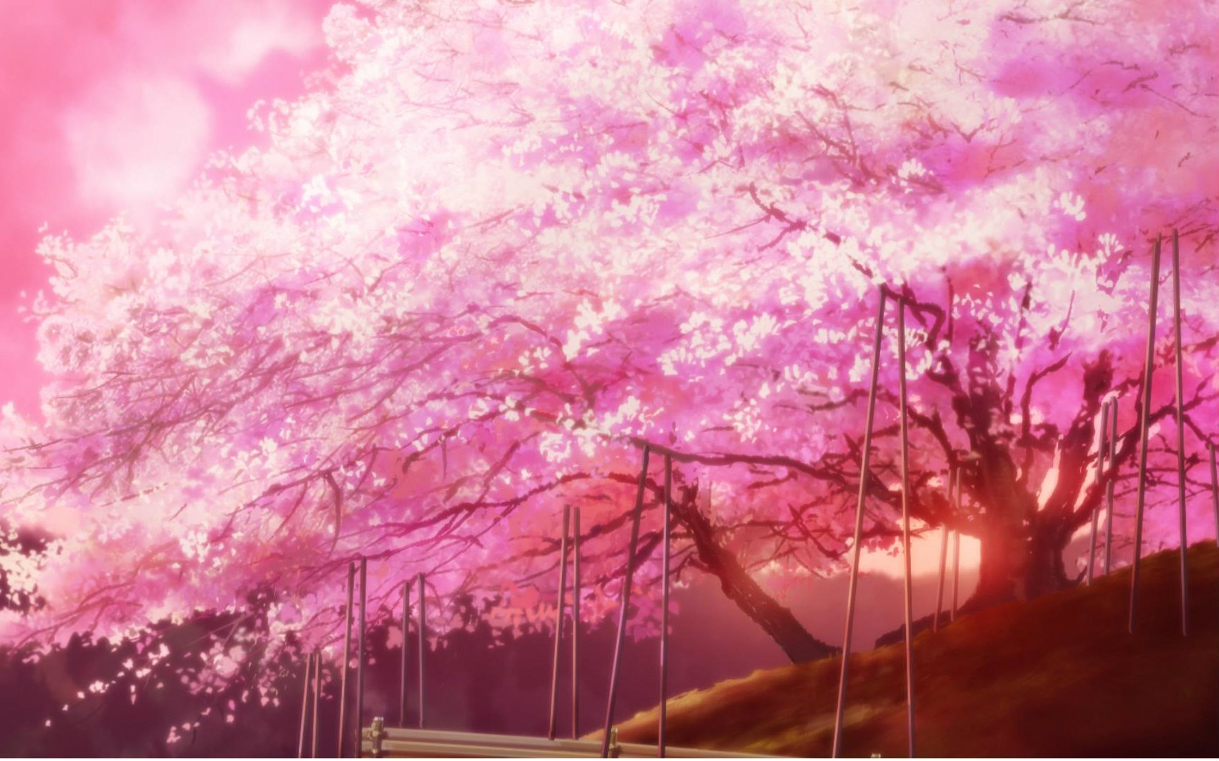 【花之舞】情愫似花,与风飞舞