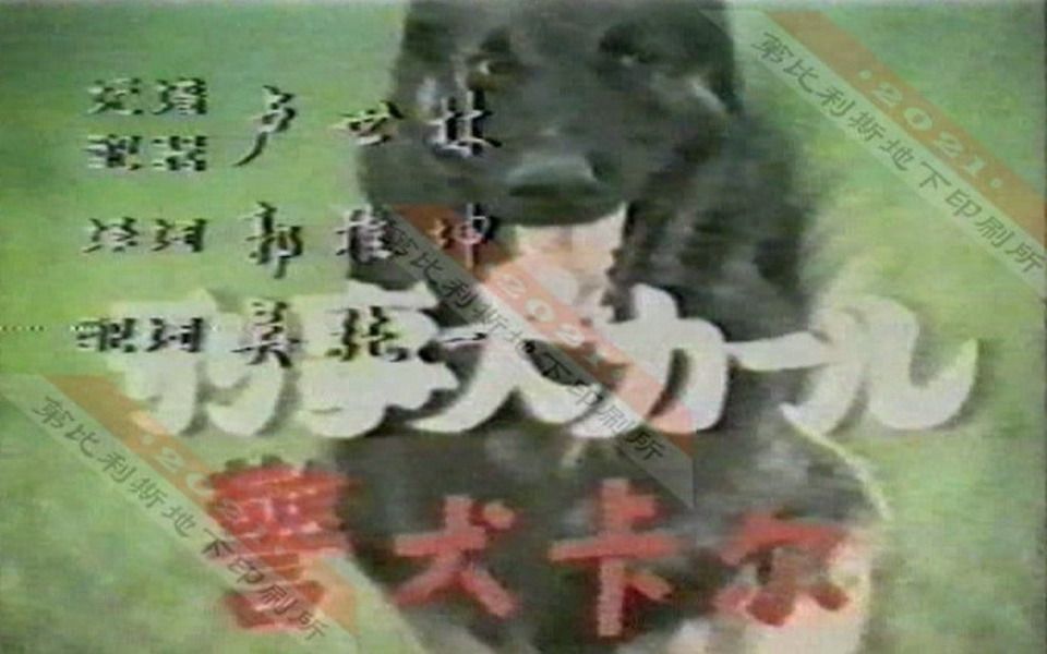 失传的日本译制连续剧《警犬卡尔》配音欣赏哔哩哔哩bilibili