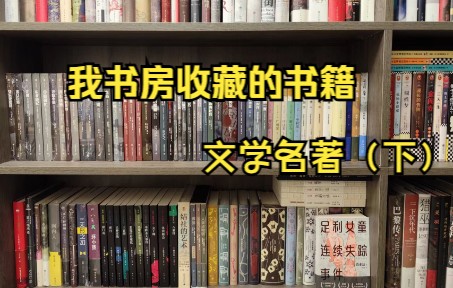 独居男生的书房|看看我都收藏了哪些好书(文学名著下)哔哩哔哩bilibili