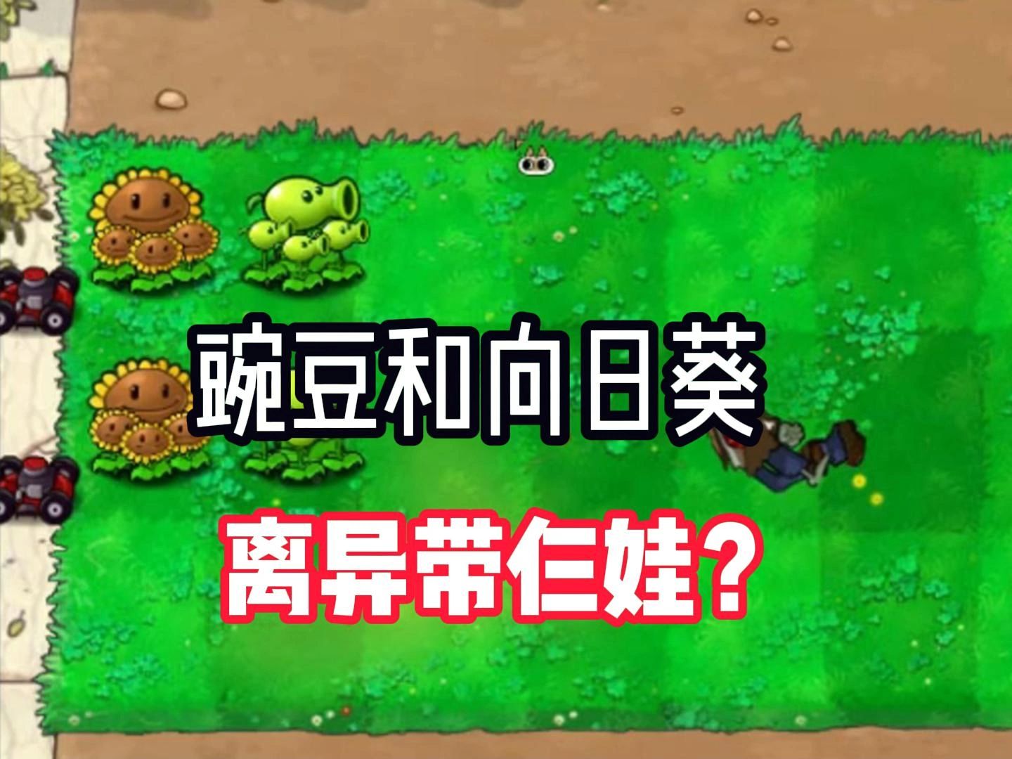 豌豆和向日葵离异带仨娃?