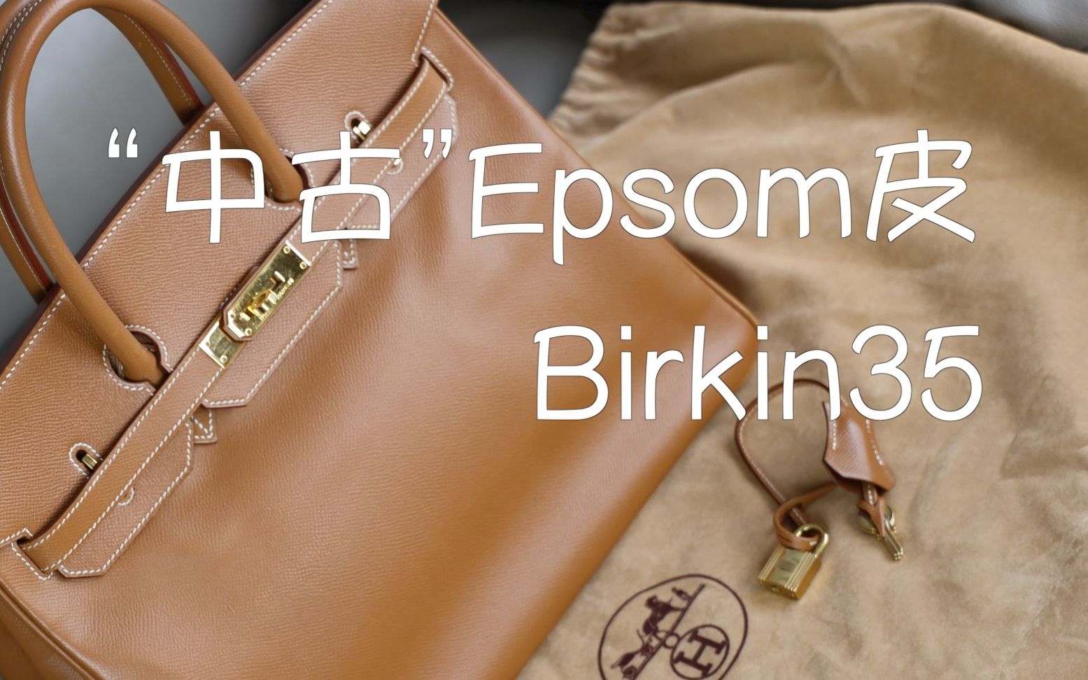 Vlog736一只二十岁的Epsom皮Birkin35哔哩哔哩bilibili