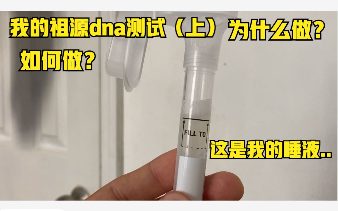 我的祖源dna测试(上):如何做测试?(仅供参考)哔哩哔哩bilibili