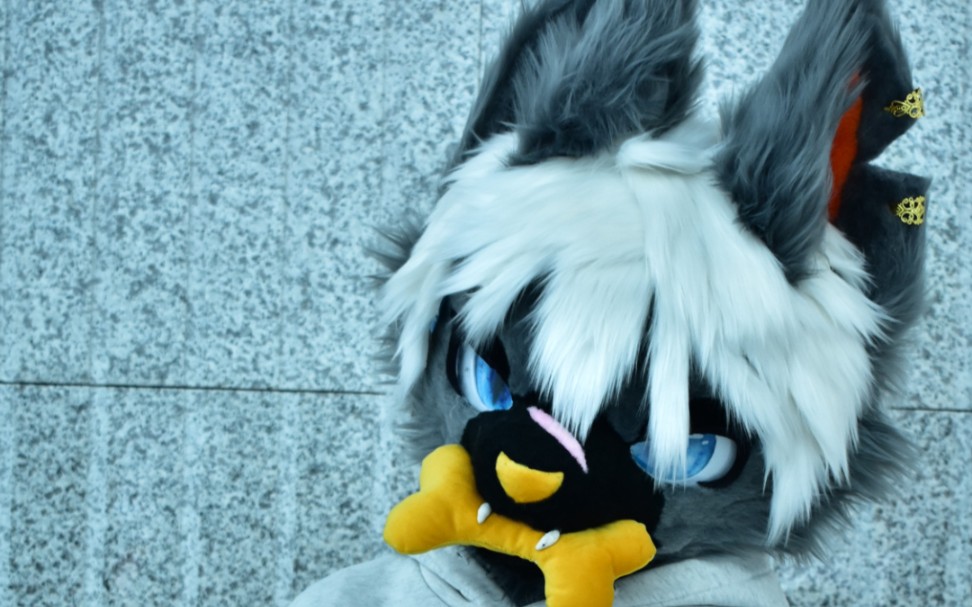 【日系兽装展示】零叁