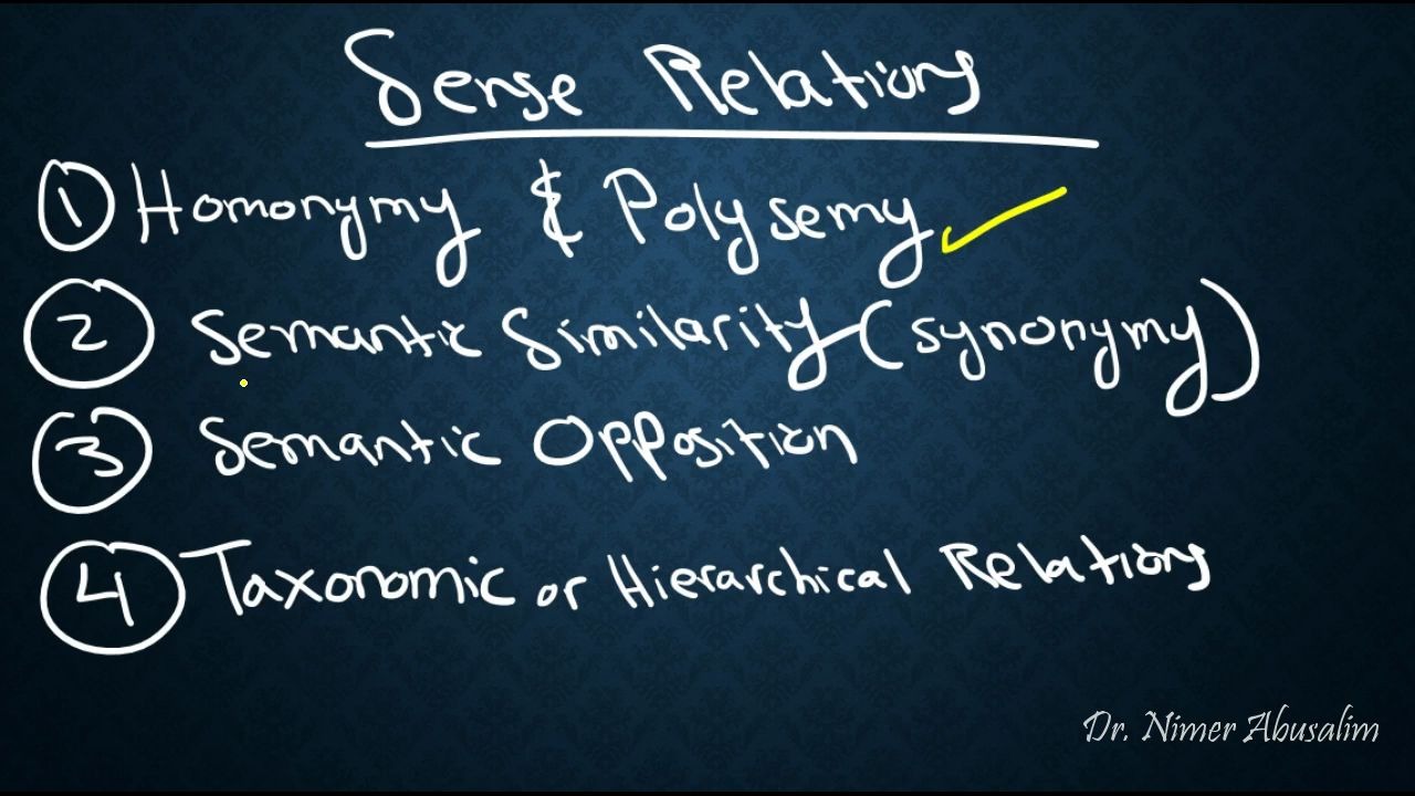 SEMANTICS17 Sense Relations (Similarity, Synonymy & Semantic Opposites)哔哩哔哩bilibili