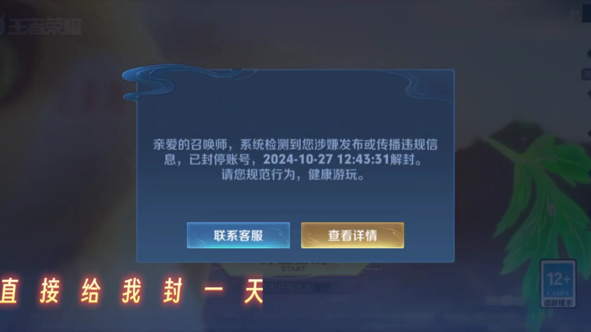 关于王者9周年庆发xx换伽罗或凯会被封号这件事😂