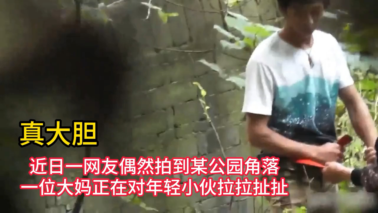 公园角落，这是在干嘛