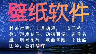 如何白嫖付费壁纸 哔哩哔哩 Bilibili