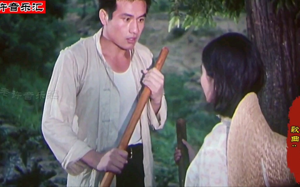 毛阿敏一曲篱笆墙的影子唱出了时代经典歌声响起满是回忆