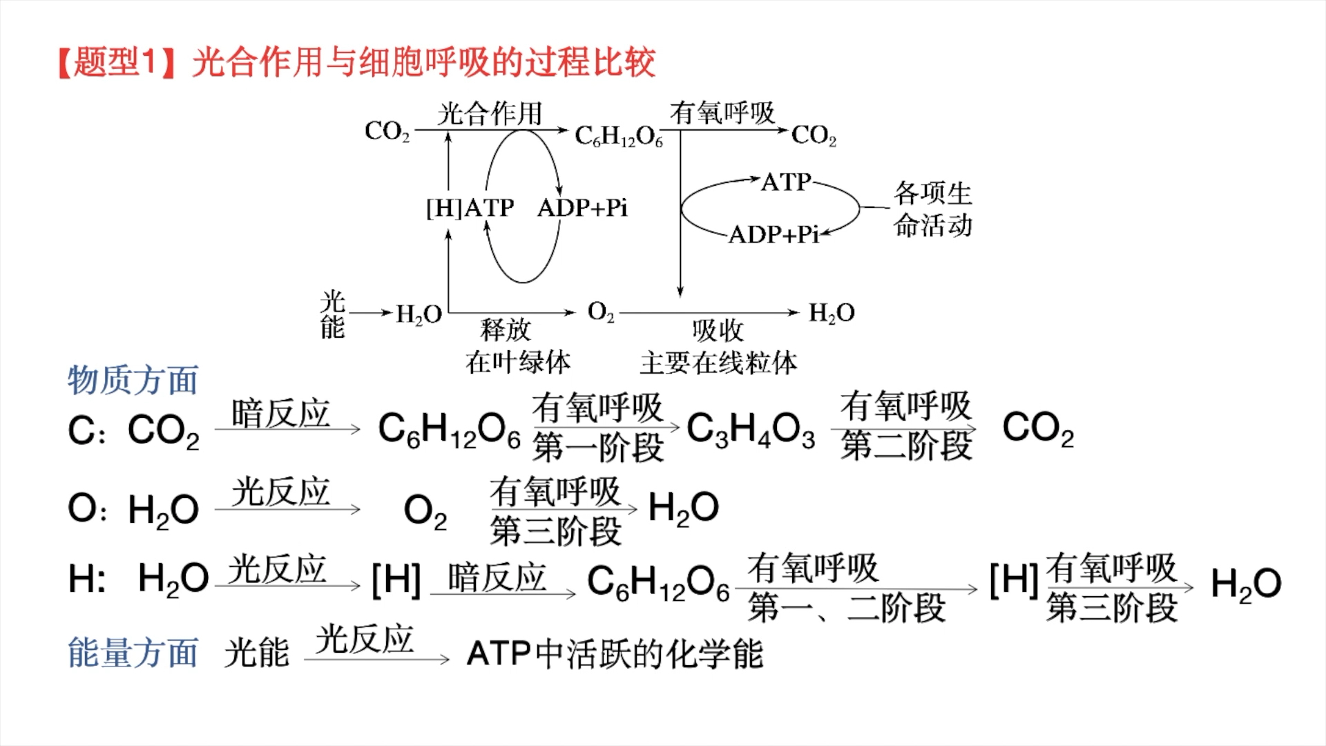 高中生物必修一分子與細胞光合作用和呼吸作用綜合題型1光合作用與