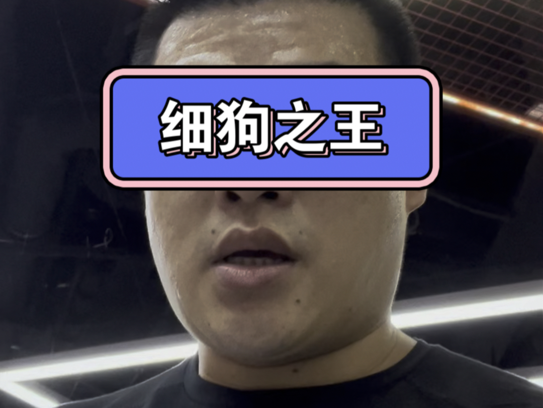 现在是无力的细狗之王啦哔哩哔哩bilibili