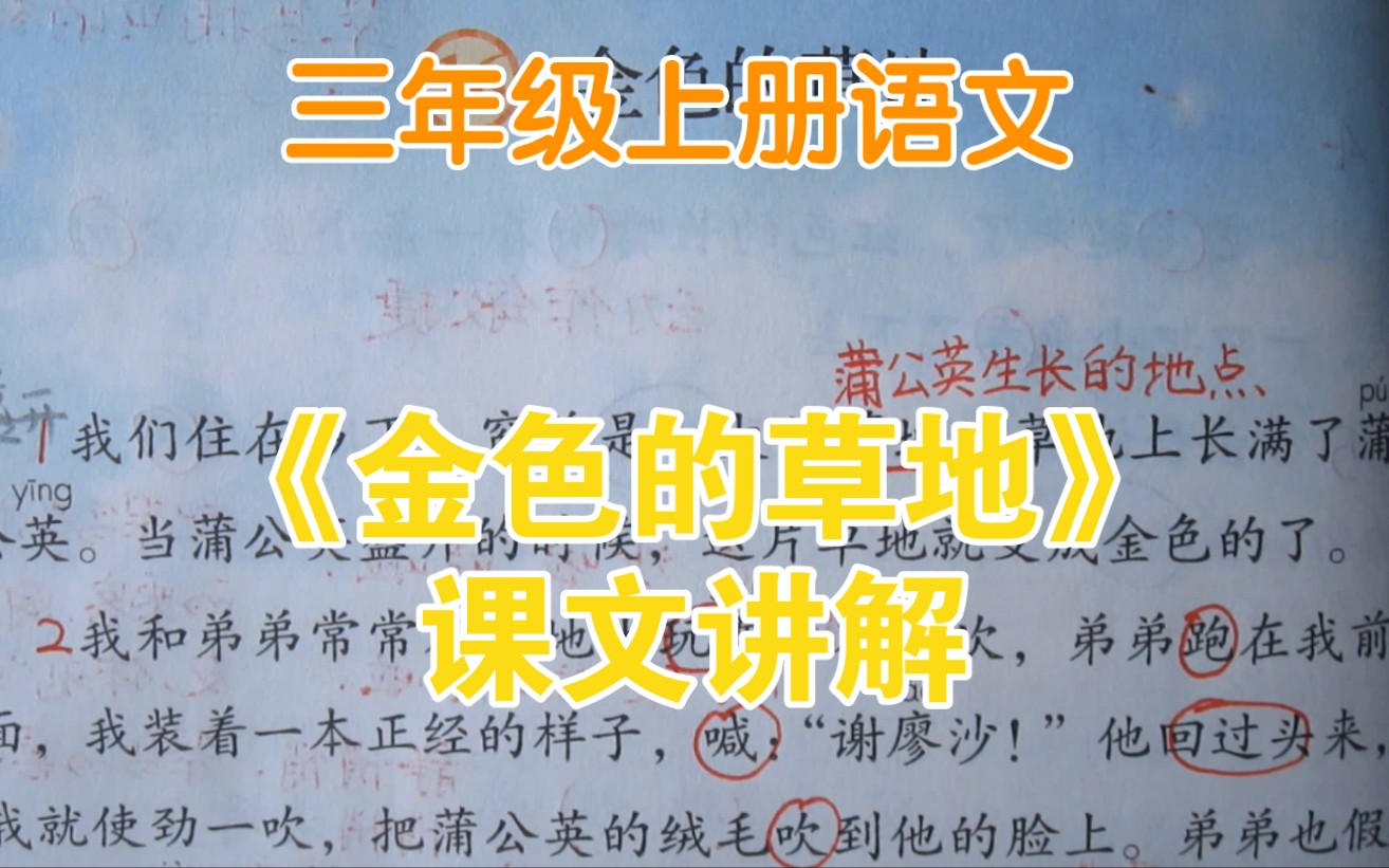 [图]三上语文《金色的草地》课文讲解，留心观察，发现大自然的秘密。