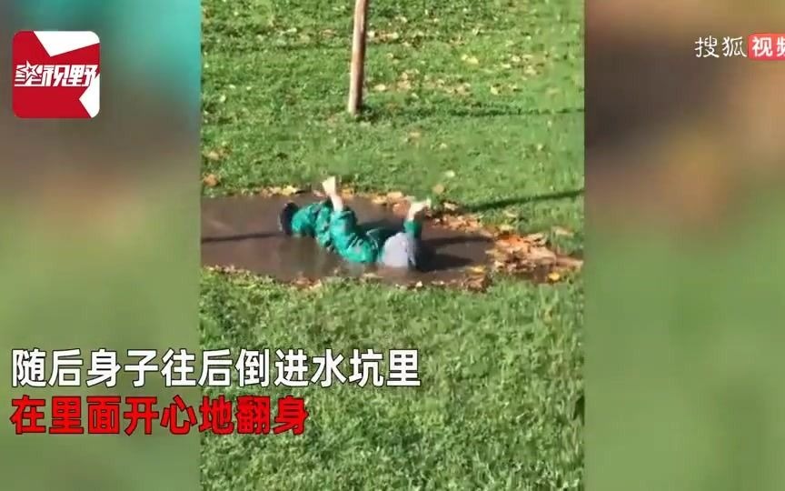 3岁男孩跳泥坑,在泥水中翻身蹦跳,玩耍间竟得了个冠军哔哩哔哩bilibili