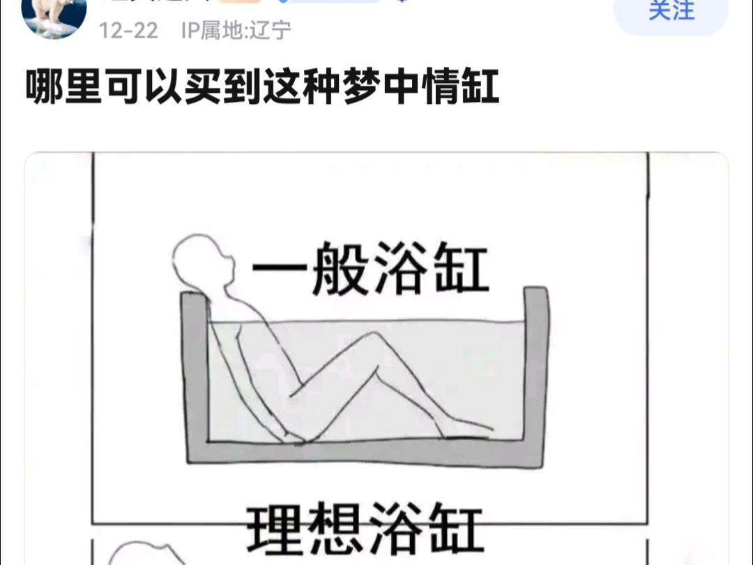 哪里可以买到这种梦中情缸哔哩哔哩bilibili