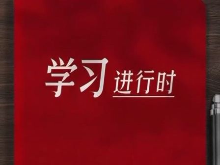 学习进行时丨全面从严治党,核心是加强党的领导(二)哔哩哔哩bilibili