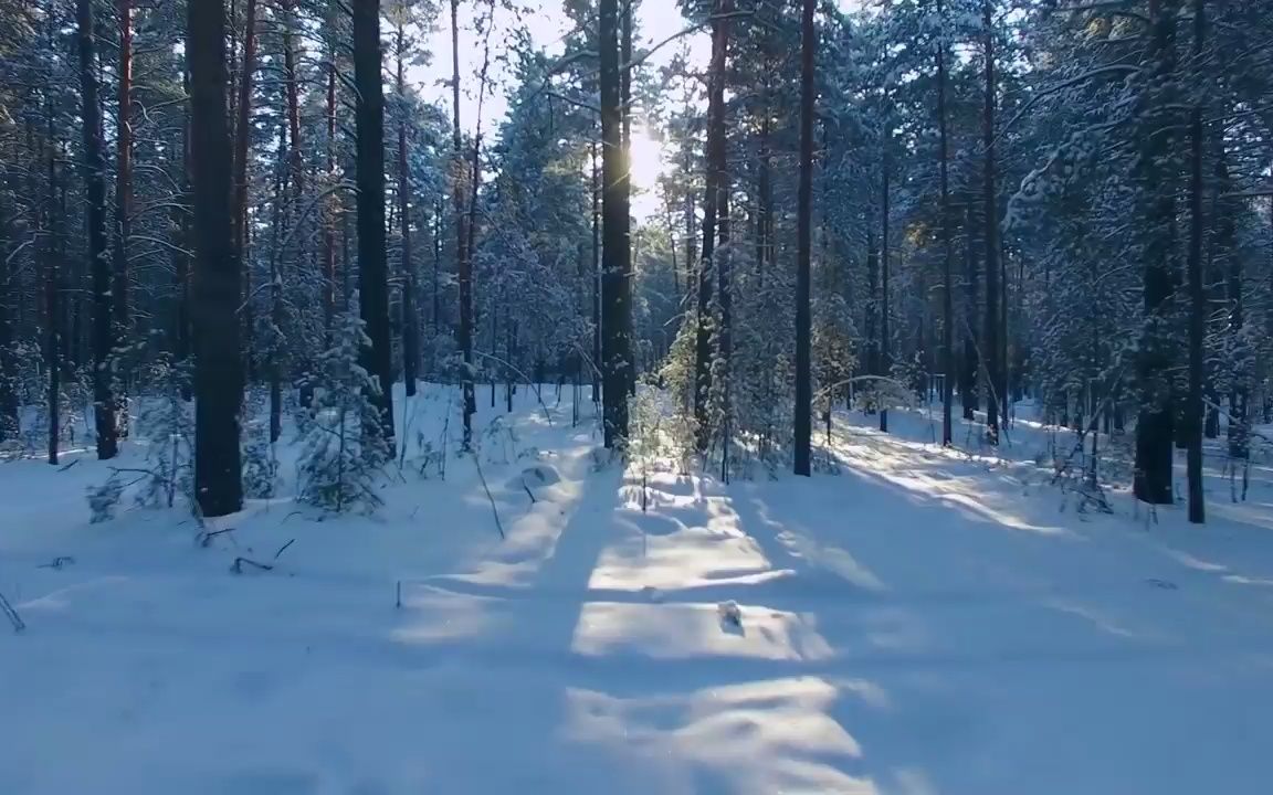 [图]视频素材 ▏ k781 冬天下雪雪景唯美空镜头超清特写冬季树叶上的雪花积雪雪花飘落冰雪奇缘儿童晚会公司你年会春晚晚会节目大屏幕舞台LED背景视频素材