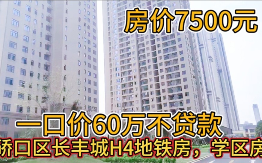 房哥惊爆价,硚口区长丰城H4一口价60万不贷款,房价7500,地铁房哔哩哔哩bilibili