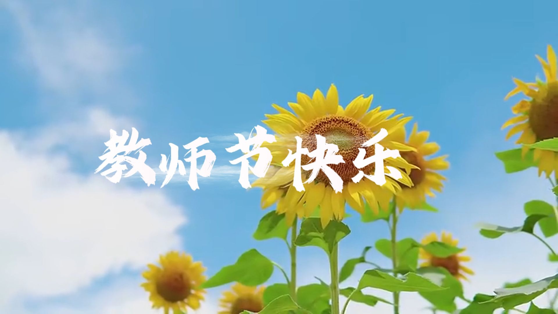 时光对耕耘最深情的馈赠便是桃李芬芳,教师节快乐