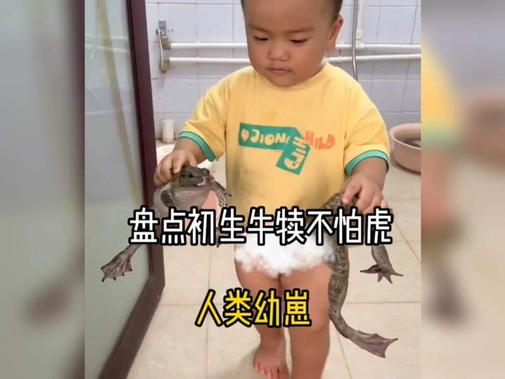 盘点那些初生牛犊不怕虎的人类幼崽孩子真的啥都敢#初生牛犊不怕虎 #人类幼崽 #人小胆大 #人类幼崽的迷惑行为 #萌娃 #意不意外哔哩哔哩bilibili