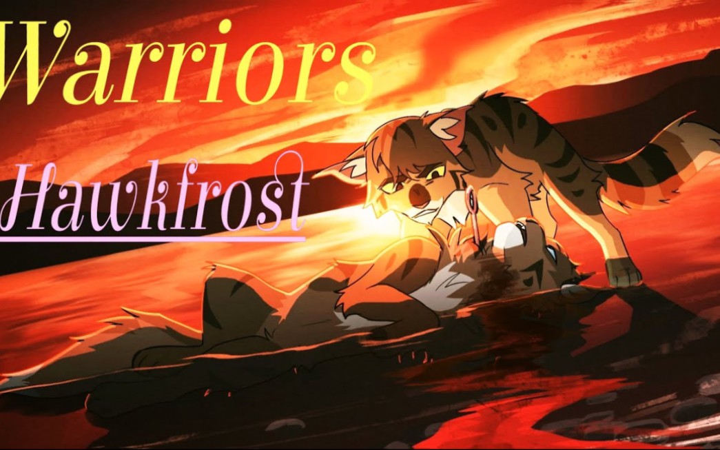 【猫武士】鹰霜 - warriors [imagine dragons]【amv】