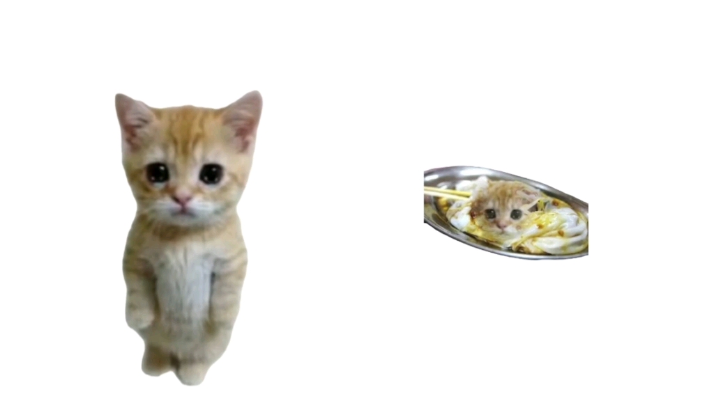 可颂猫,但是登hun(潮汕话:肠粉)