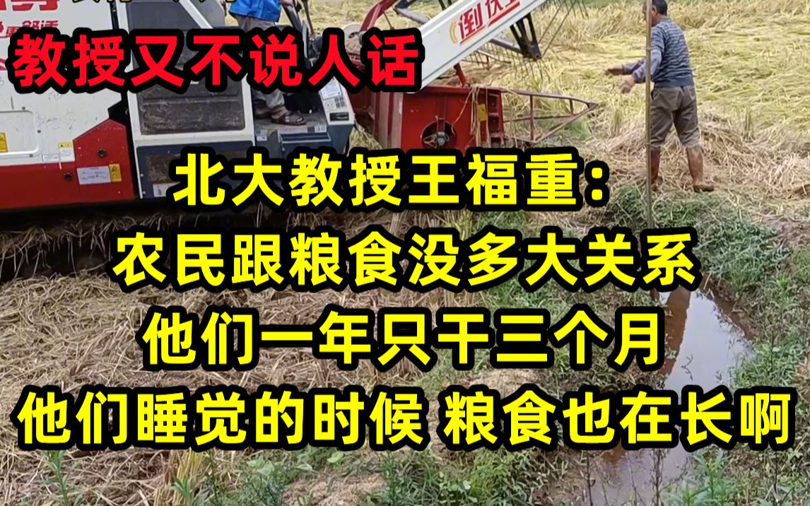 北大教授王福重:农民跟粮食没啥关系,他们睡觉的时候,粮食也在长啊.哔哩哔哩bilibili