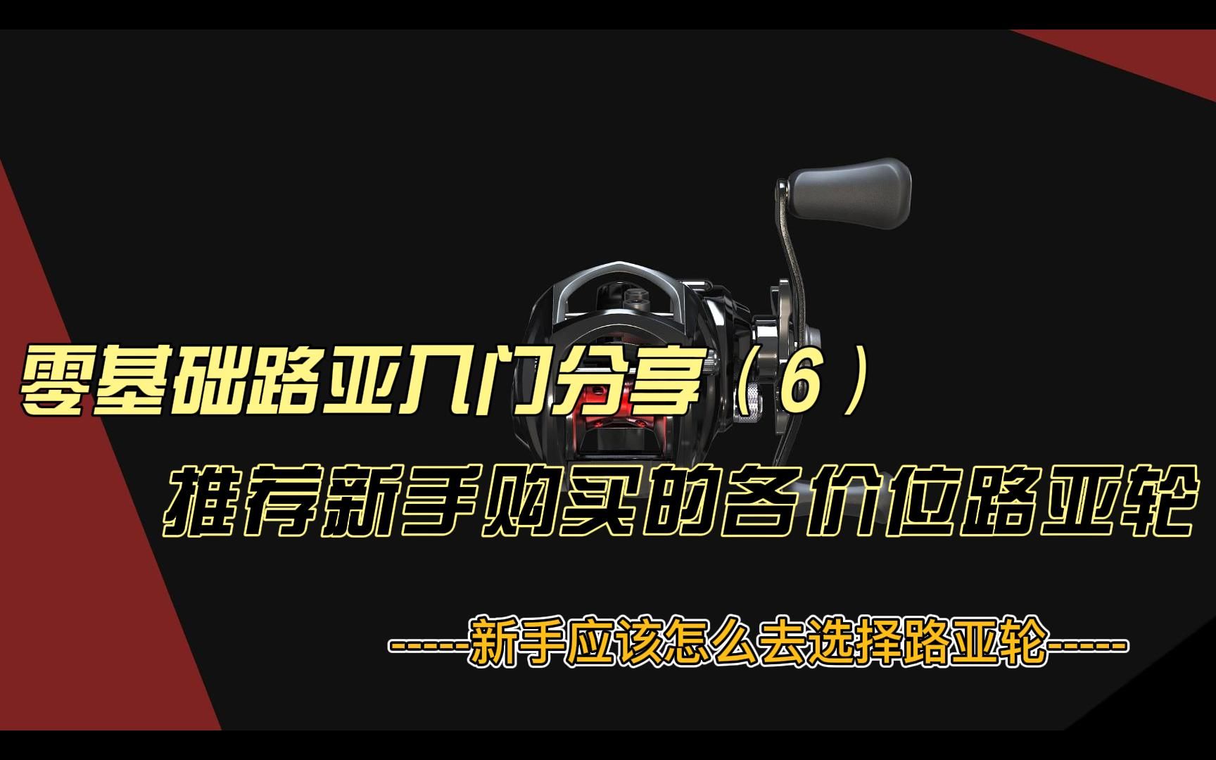 新手怎么选路亚轮,应该买什么价位的路亚轮,钓鱼选什么样的轮子比较好,初级入门该买什么样的轮子哔哩哔哩bilibili