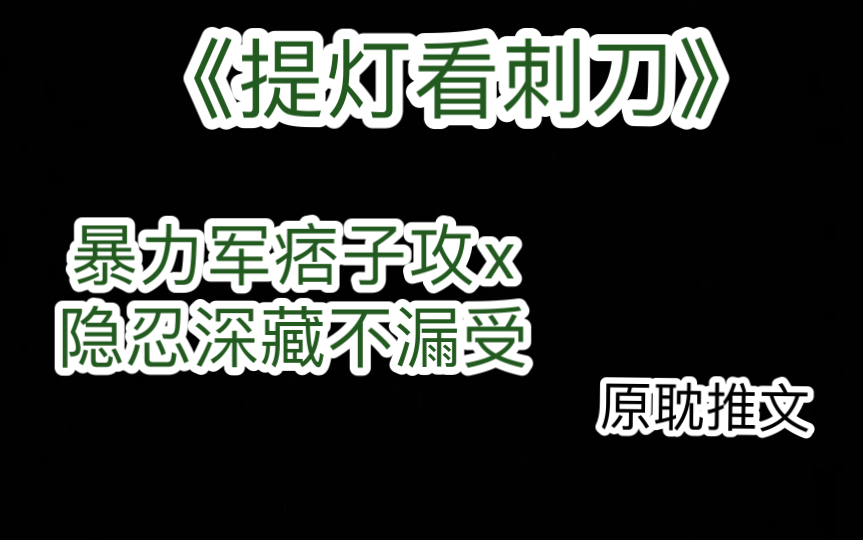 【原耽推文】《提灯看刺刀》,作者:淮上,暴力军痞子攻x隐忍深藏不漏受哔哩哔哩bilibili