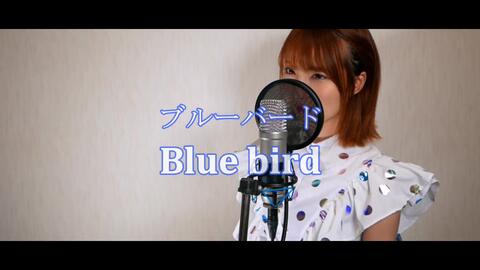 Naruto疾風伝 Op ブルーバード Blue Bird いきものがかり Ikimono Gakari Cover By Seira 哔哩哔哩 Bilibili