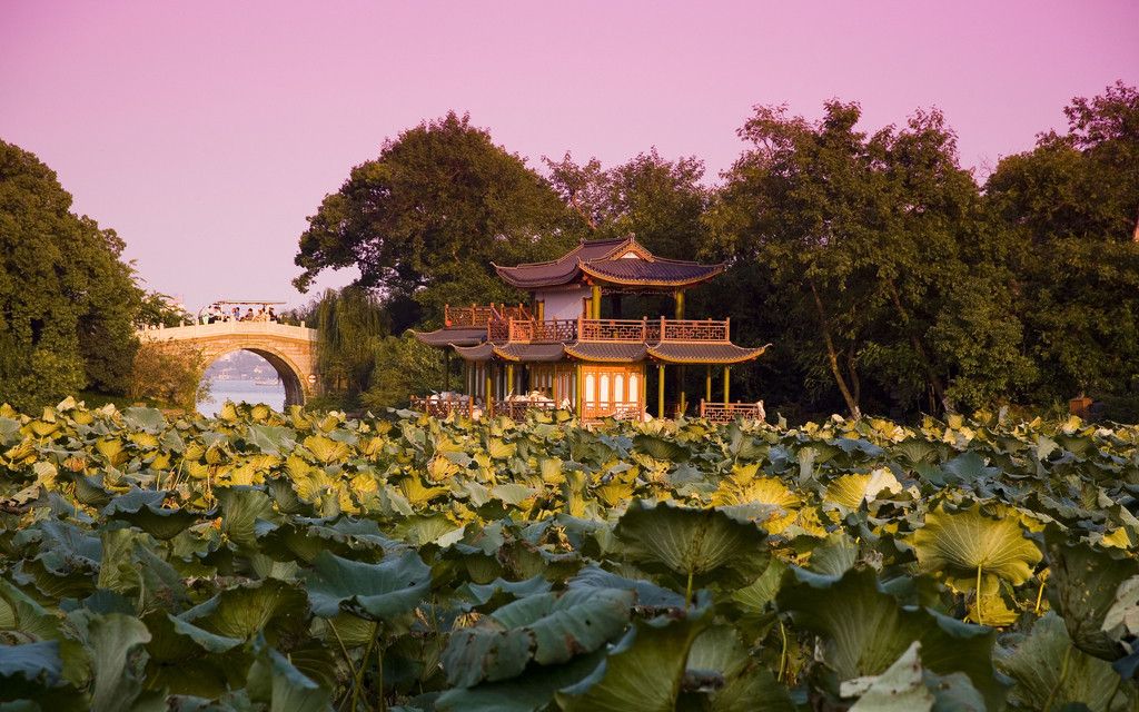 韩语看世界(3)——你不知道的杭州十景之曲院风荷