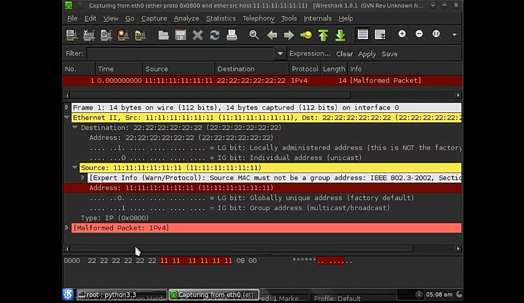 1+XWeb安全测试职业技能等级证书(初级):运用Python实现Ethernet哔哩哔哩bilibili