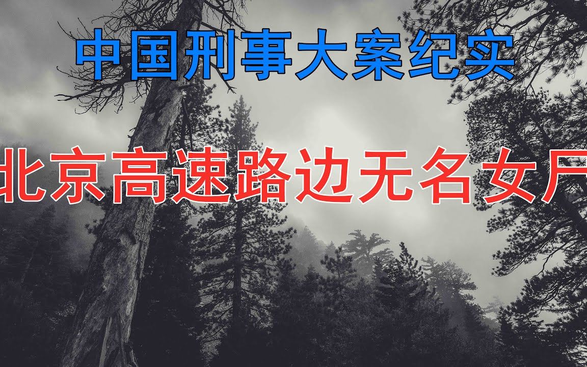 [图]北京高速路边发现无名女尸 臂上怪字无人能解 - 中国刑事大案纪实 - 刑事案件要案记录