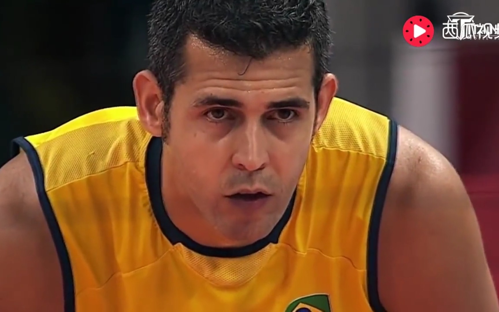 巴西男排传奇球星丹特