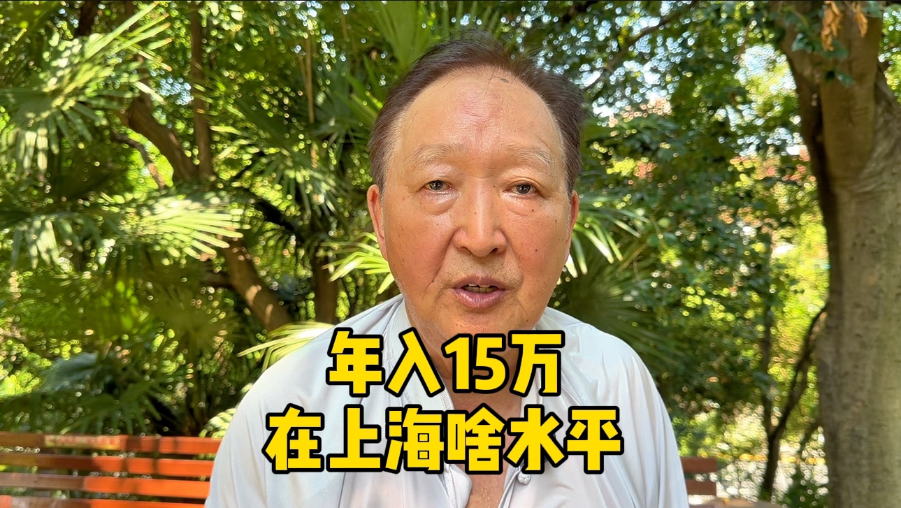 年入15万在上海什么水平?上海爷叔分析家庭收入现状,讲出实情哔哩哔哩bilibili