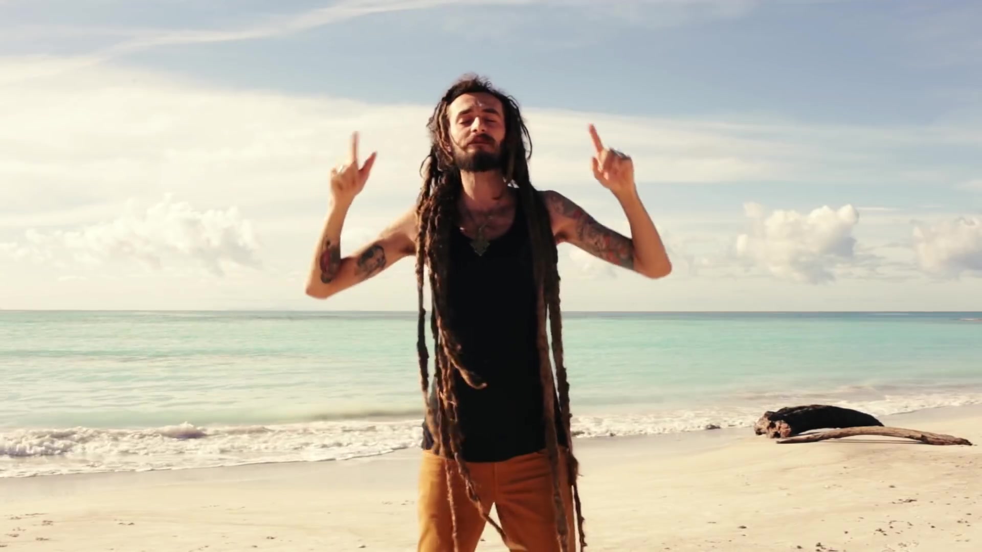 牙买加雷鬼quartierecoffeeinjamaica