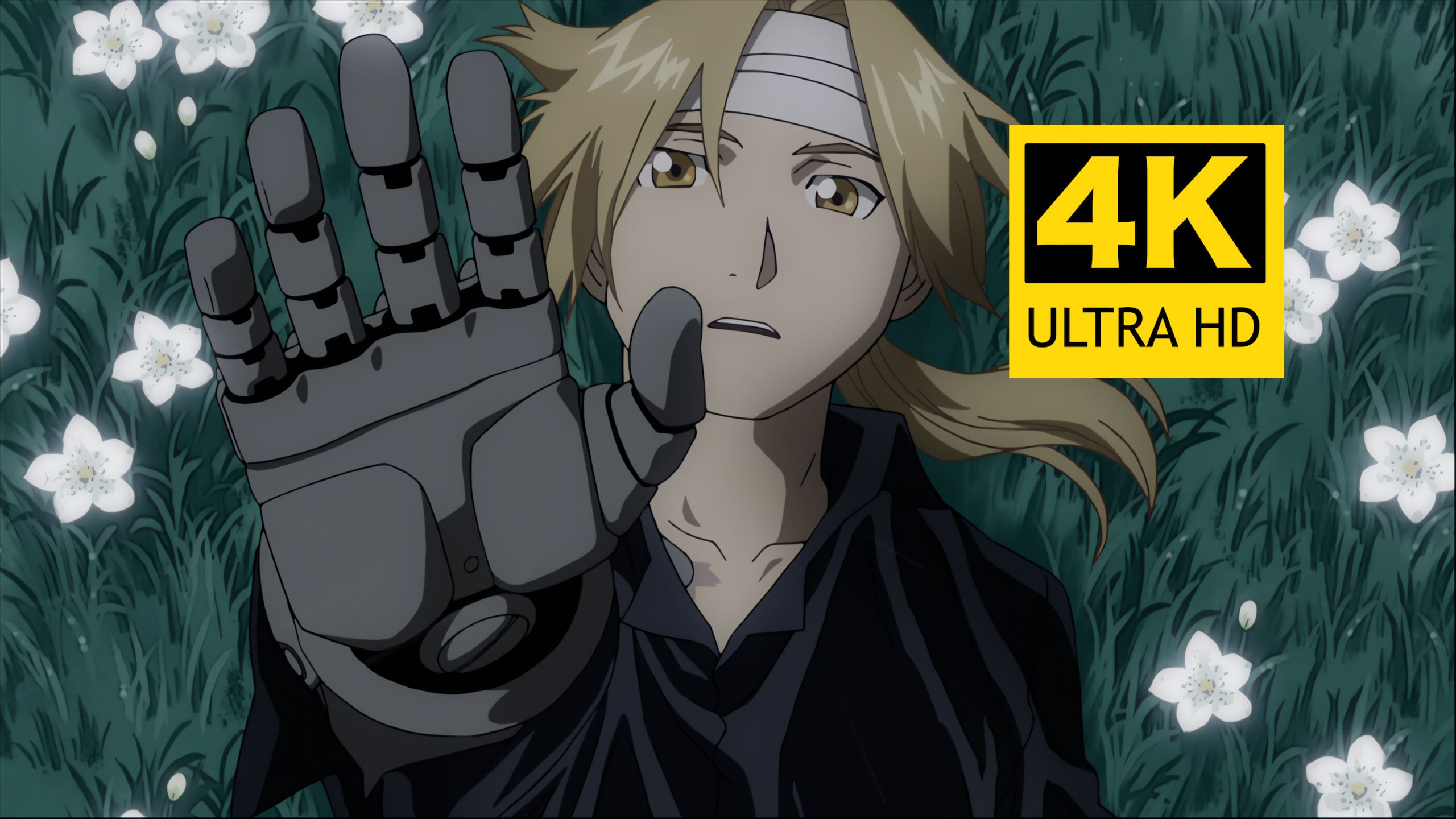 「𝟒𝑲」钢之炼金术师fa ncop&nced 收藏向 全站最高画质