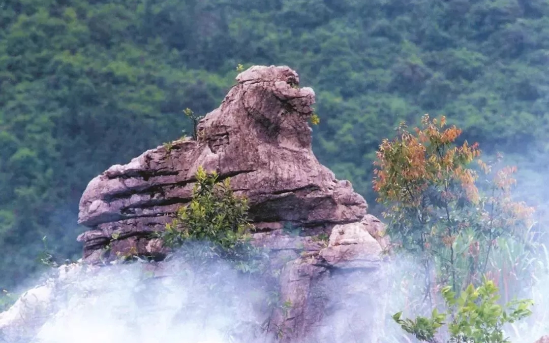 浙江石林风景区图片